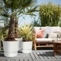 Elho greenville rond wit terras